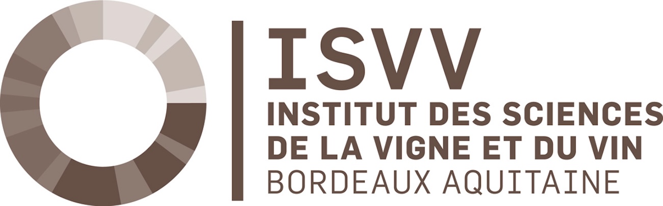 Client assistance TPE ISVV Bordeaux
